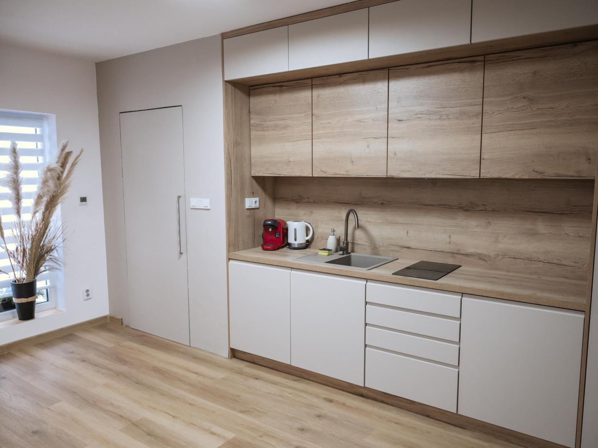 Apartment Atelier Smutna